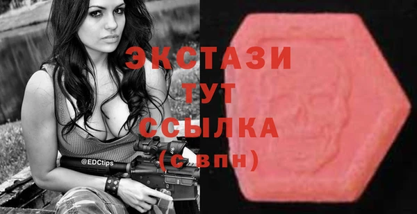 гашик Алексин