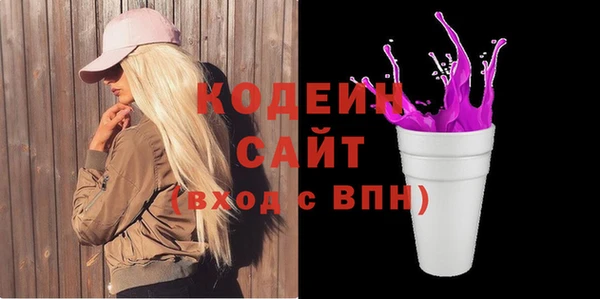 шишки Абаза