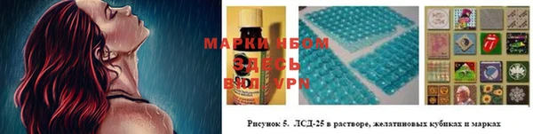 шишки Абаза