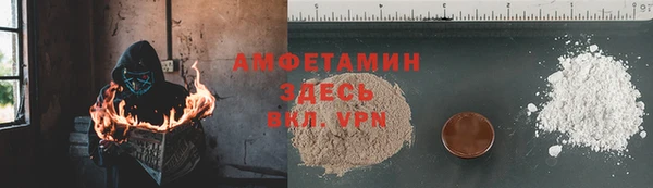 шишки Абаза