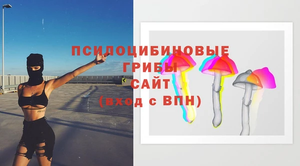 прущие крисы Абинск