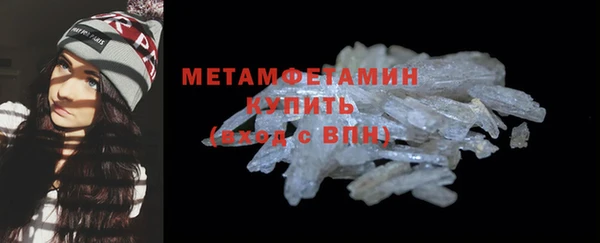 шишки Абаза