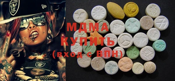 гашик Алексин