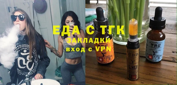 шишки Абаза