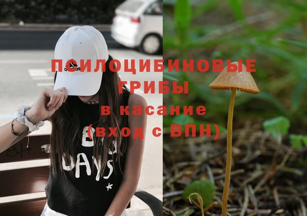 гашик Алексин