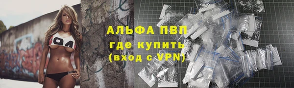 шишки Абаза