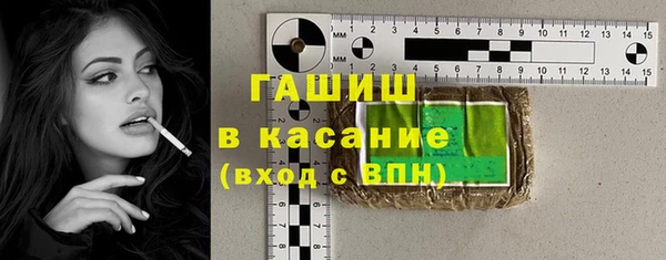 шишки Абаза