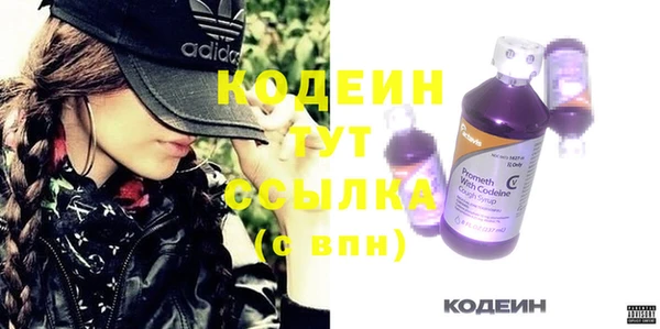 шишки Абаза