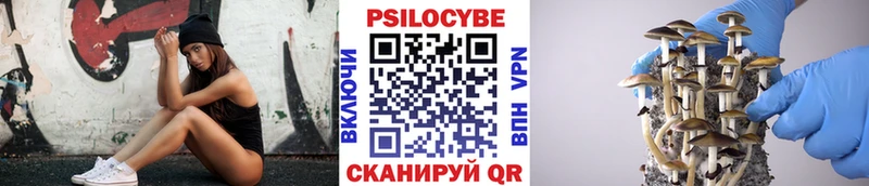 Псилоцибиновые грибы Psilocybine cubensis  Красновишерск 